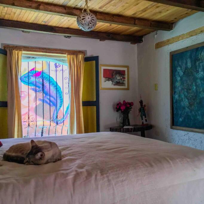 San Cristóbal de Las CasasCasa Cerrillo公寓 外观 照片